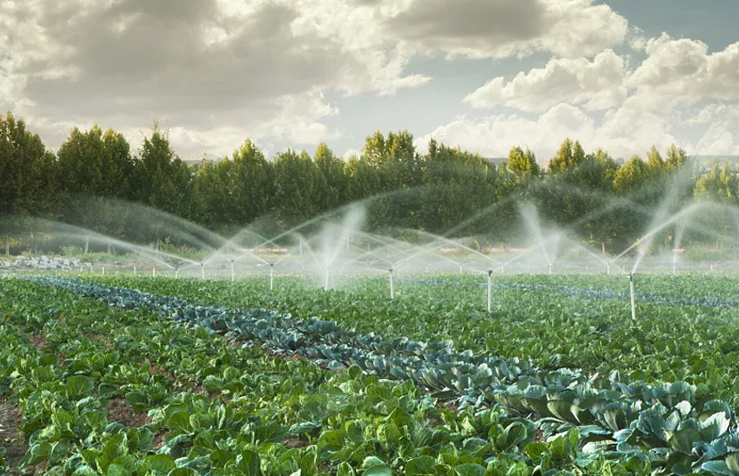 星流通成功案例